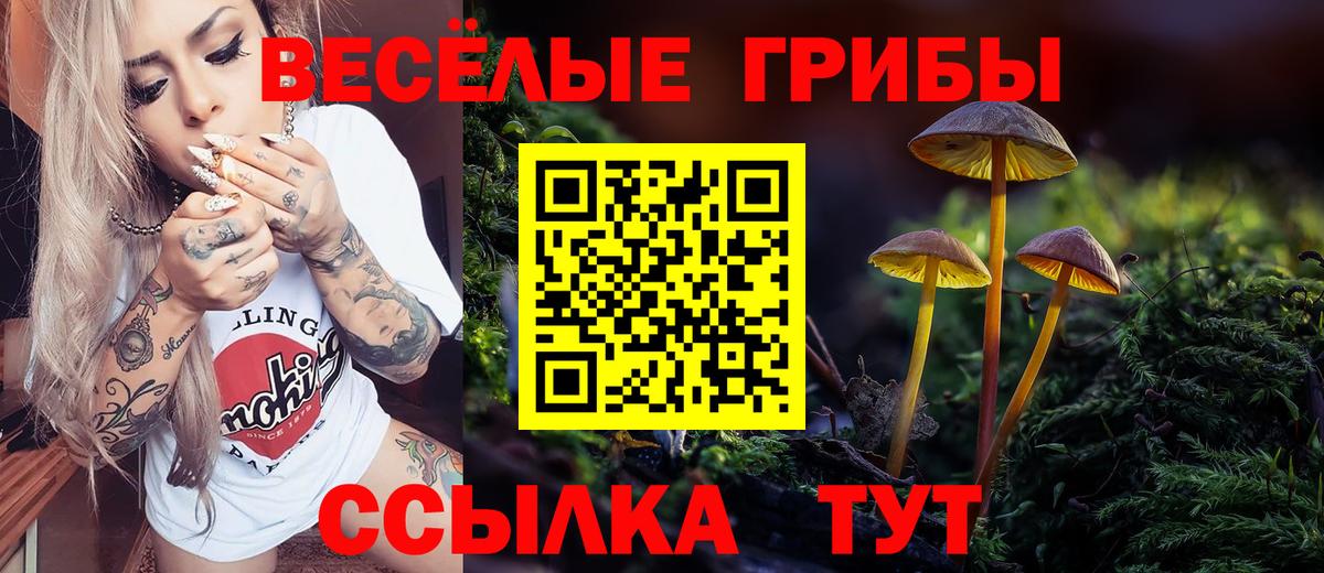 Псилоцибиновые грибы MAGIC MUSHROOMS  Вход с VPN  Арсеньев  Галлюциногенные грибы Psilocybine cubensis 